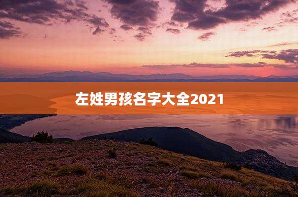 左姓男孩名字大全2021