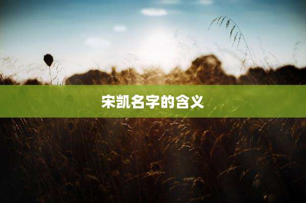 宋凯名字的含义