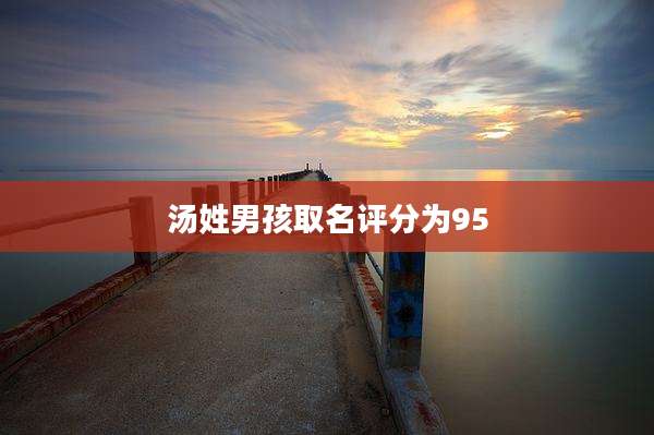 汤姓男孩取名评分为95