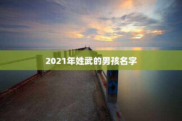 2021年姓武的男孩名字