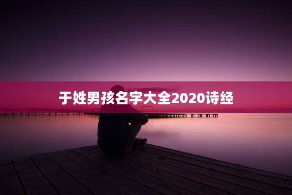 于姓男孩名字大全2020诗经