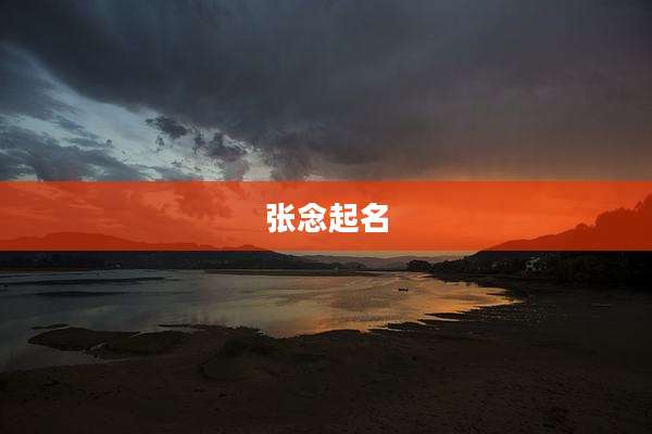 张念起名