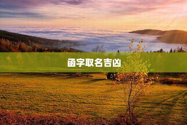 函字取名吉凶