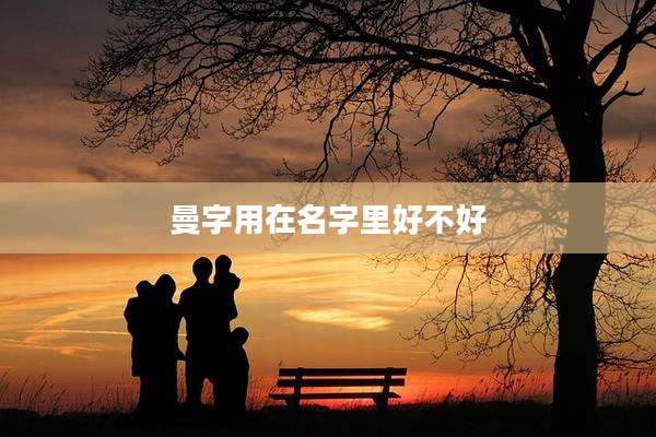 曼字用在名字里好不好