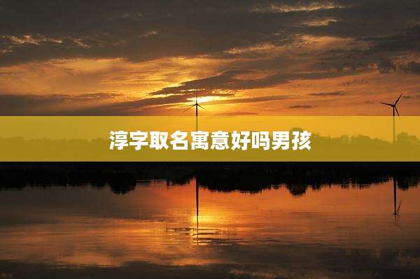 淳字取名寓意好吗男孩