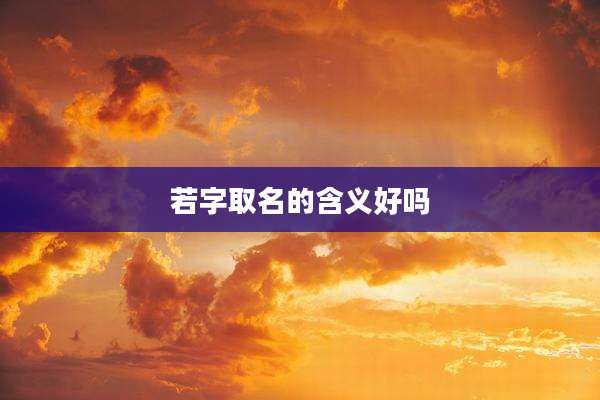若字取名的含义好吗