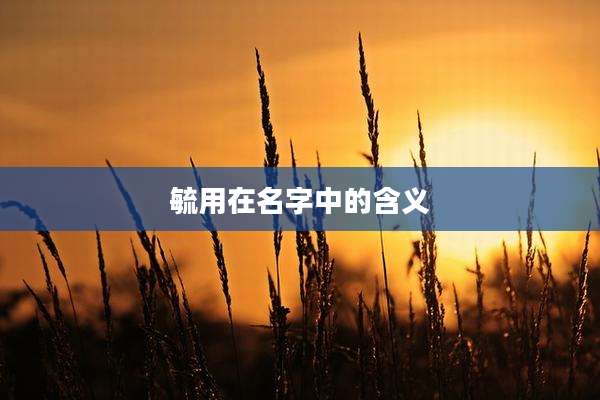 毓用在名字中的含义