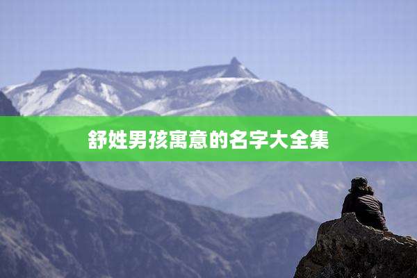 舒姓男孩寓意的名字大全集