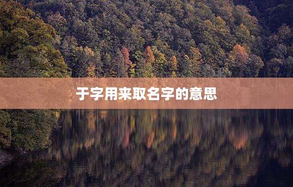 于字用来取名字的意思