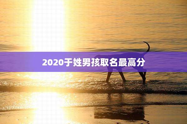 2020于姓男孩取名最高分