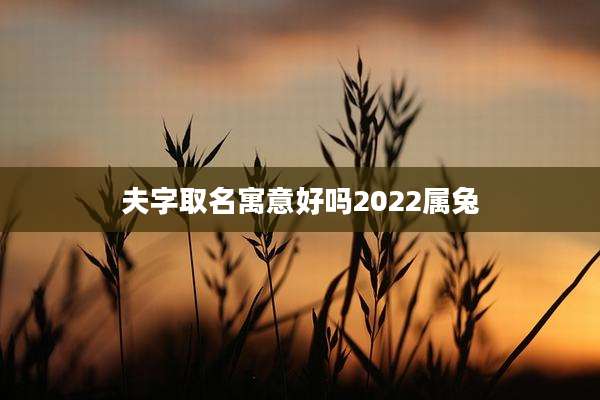 夫字取名寓意好吗2022属兔
