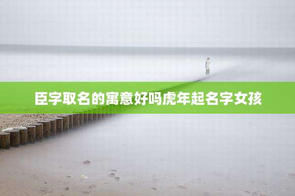 臣字取名的寓意好吗虎年起名字女孩