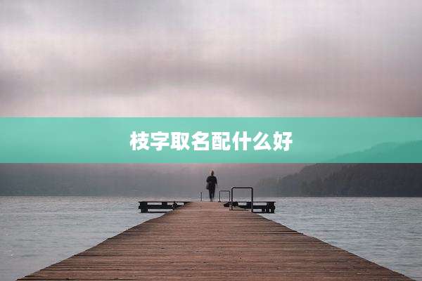 枝字取名配什么好