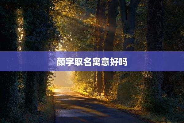 颜字取名寓意好吗