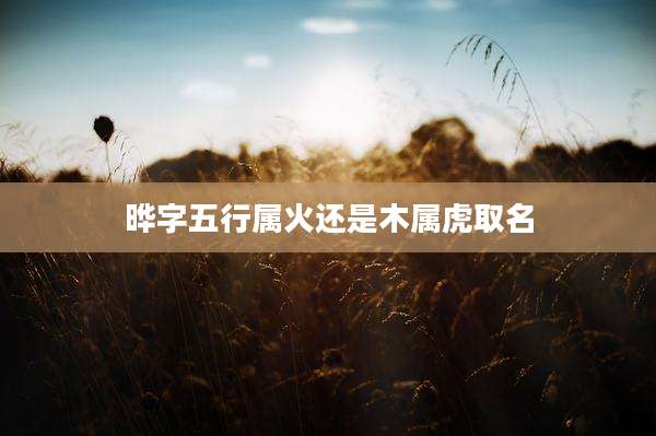 晔字五行属火还是木属虎取名