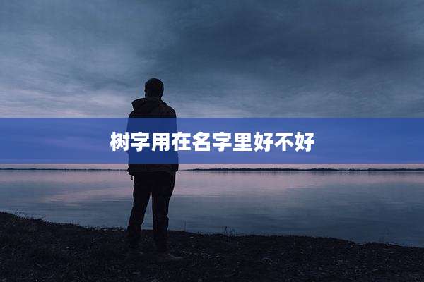 树字用在名字里好不好
