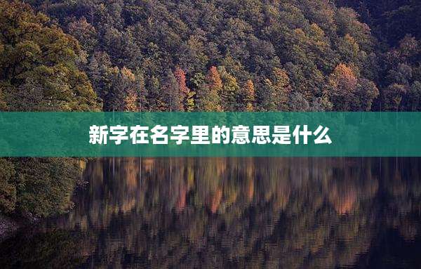 新字在名字里的意思是什么
