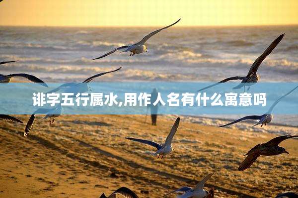 诽字五行属水,用作人名有什么寓意吗