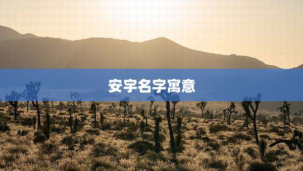 安宇名字寓意