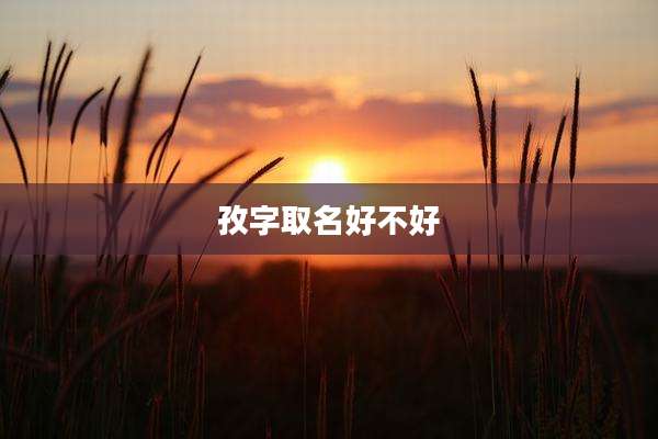 孜字取名好不好