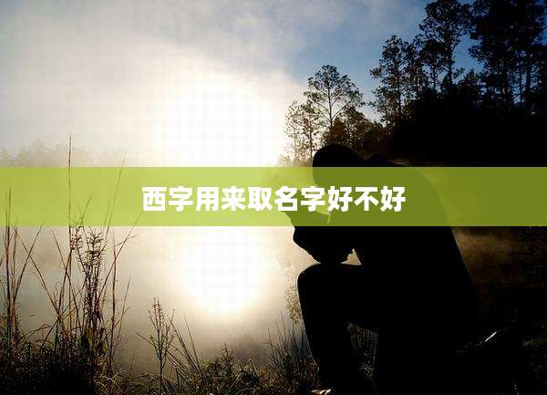 西字用来取名字好不好