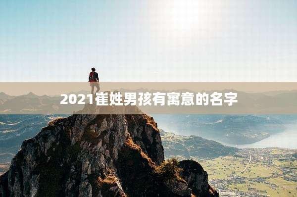2021崔姓男孩有寓意的名字