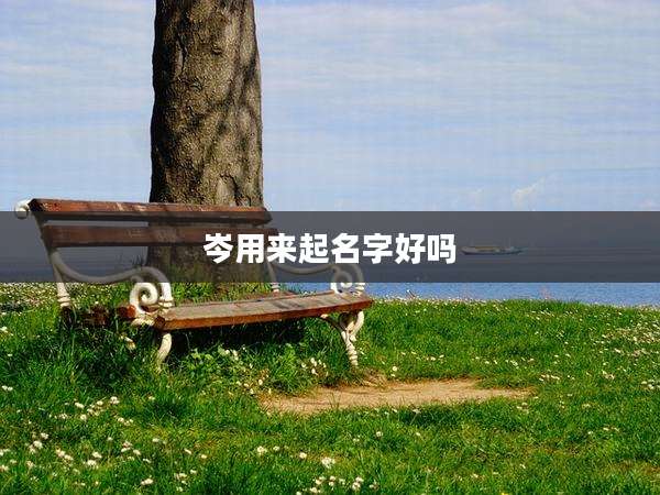 岑用来起名字好吗