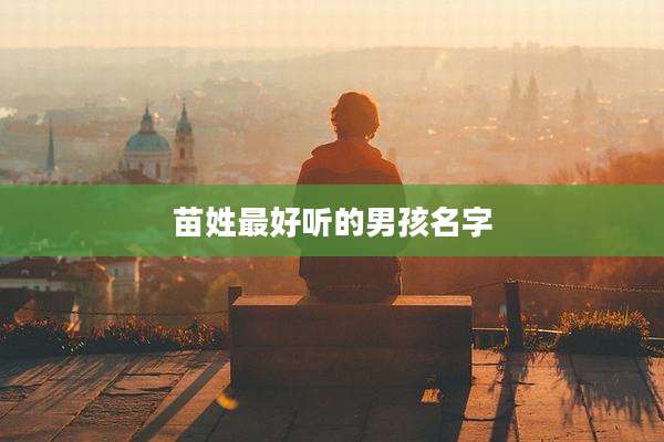 苗姓最好听的男孩名字