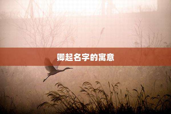 卿起名字的寓意