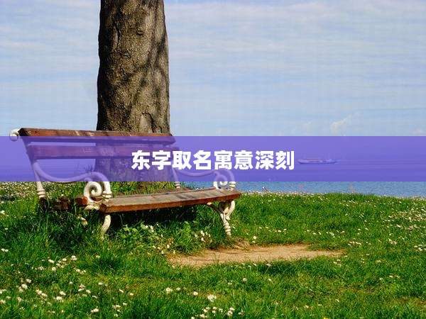 东字取名寓意深刻