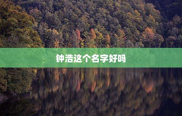钟浩这个名字好吗