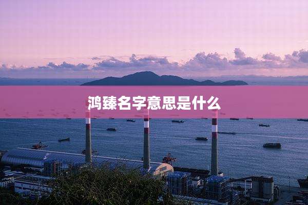 鸿臻名字意思是什么