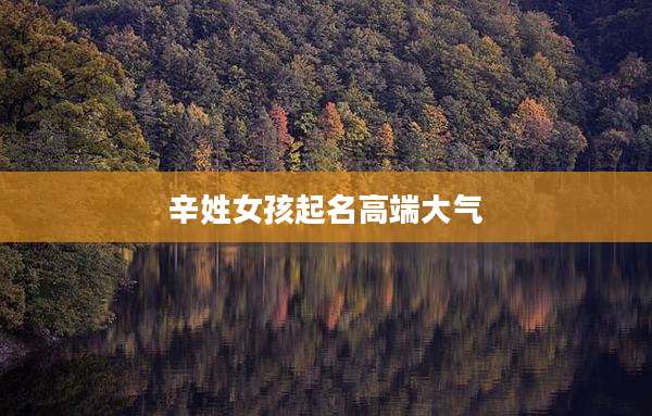 辛姓女孩起名高端大气