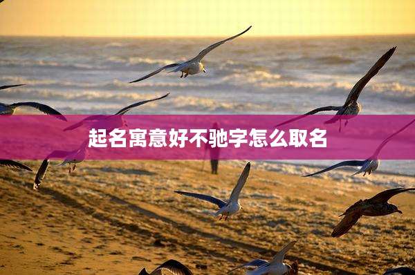 起名寓意好不驰字怎么取名