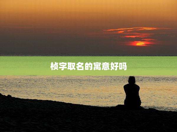 桢字取名的寓意好吗