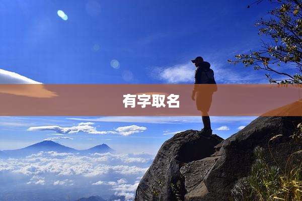 有字取名