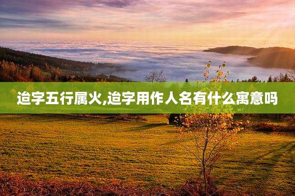 迨字五行属火,迨字用作人名有什么寓意吗