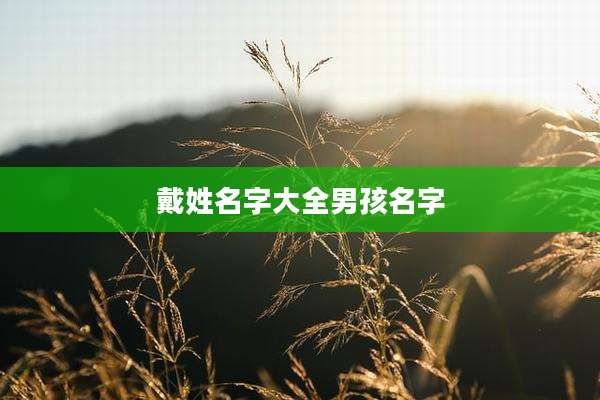 戴姓名字大全男孩名字