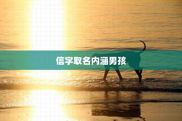 信字取名内涵男孩