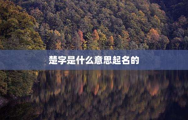 楚字是什么意思起名的