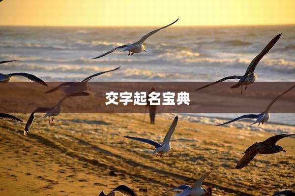 交字起名宝典