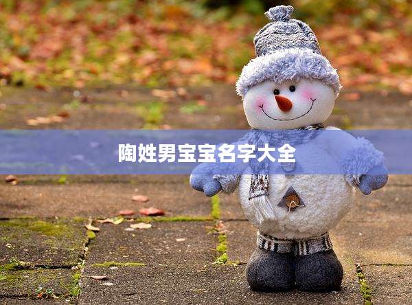陶姓男宝宝名字大全