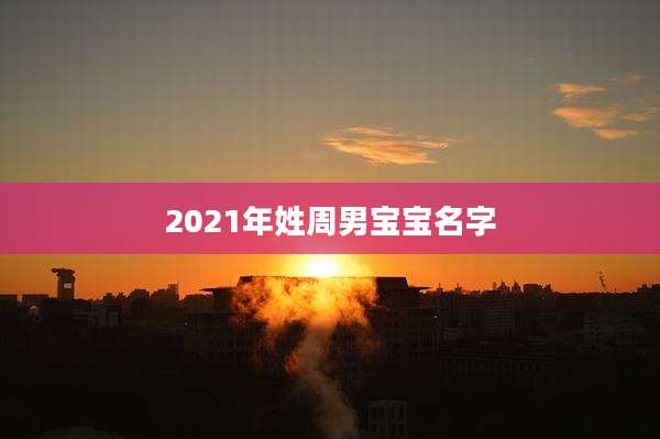 2021年姓周男宝宝名字