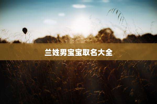 兰姓男宝宝取名大全