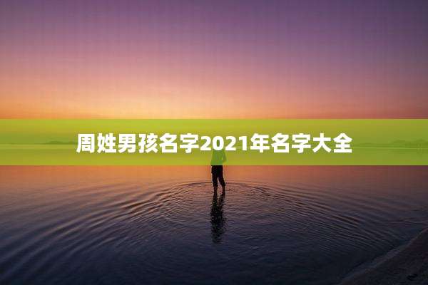 周姓男孩名字2021年名字大全