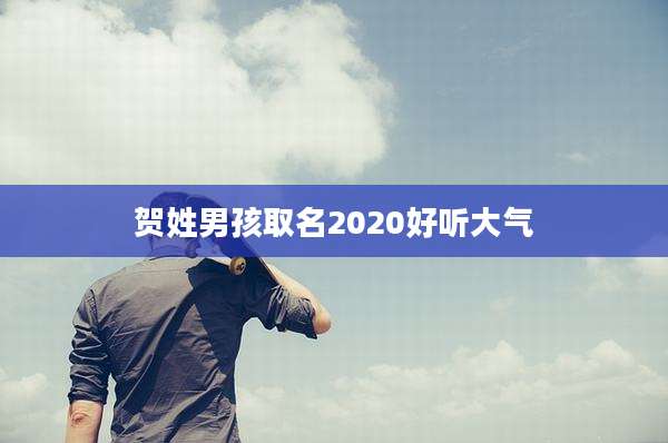 贺姓男孩取名2020好听大气