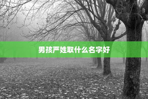 男孩严姓取什么名字好