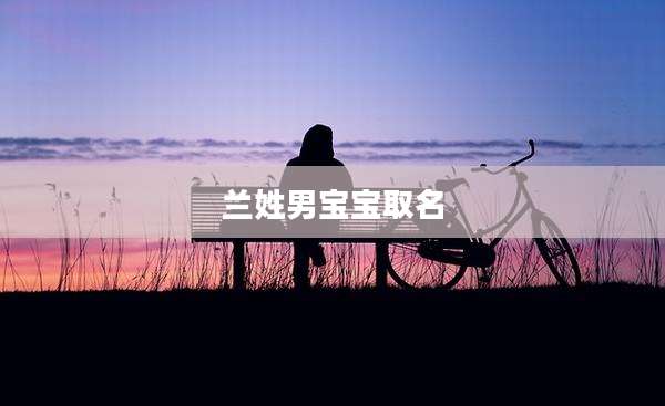 兰姓男宝宝取名