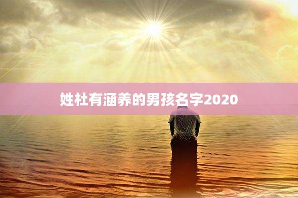 姓杜有涵养的男孩名字2020