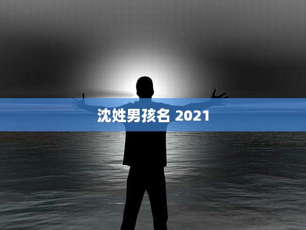 沈姓男孩名 2021